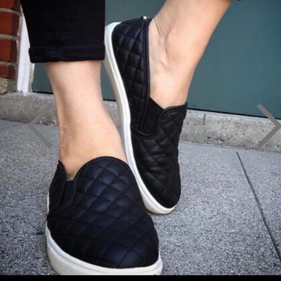 steve madden ecentrcq sneaker